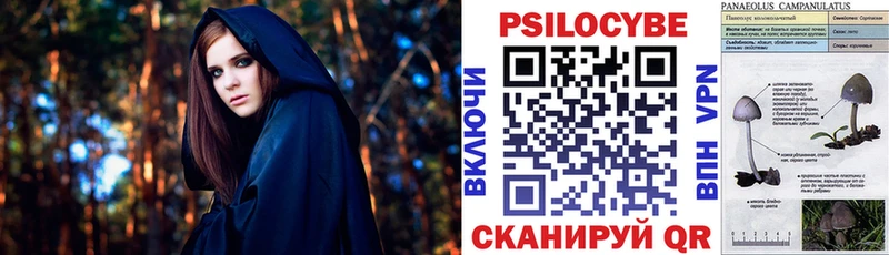 MEGA ССЫЛКА  Обнинск  Псилоцибиновые грибы GOLDEN TEACHER  купить закладку 