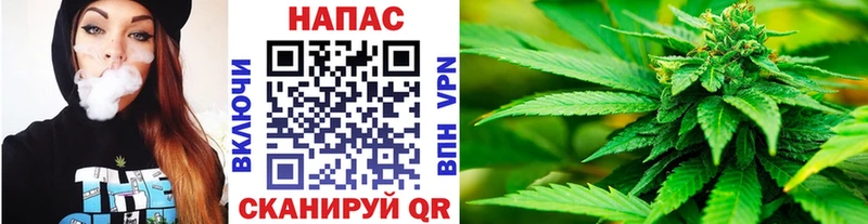 Бошки Шишки планчик  наркотики  Обнинск 